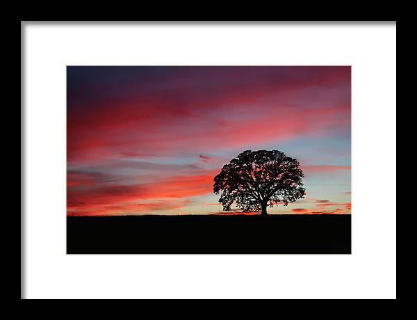 Silhouette Framed Print featuring the photograph Silhouette Sunset by Gary Geddes