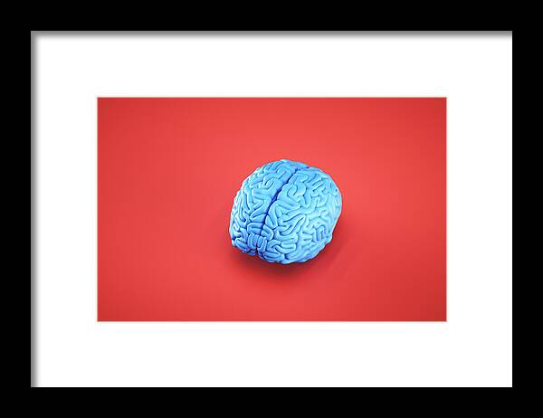 Slovenia Framed Print featuring the photograph Simple image of brain by Gremlin