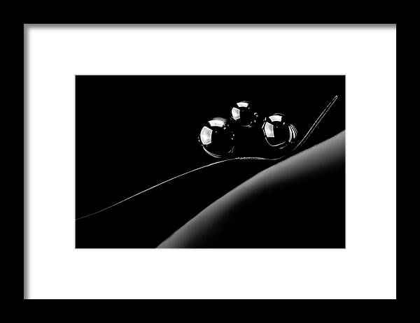 Published Framed Print featuring the photograph Simplicity III by Enrique Pelaez