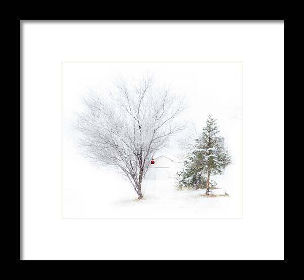 Trees Framed Print featuring the photograph Simply Christmas by Laura Terriere