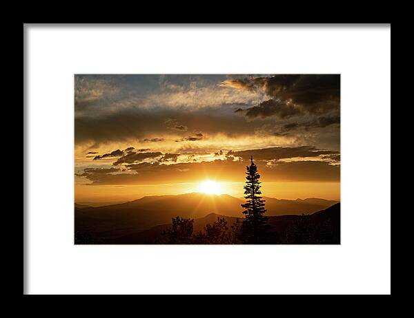 Sunset Framed Print featuring the photograph Single Tree Sunset by Wesley Aston