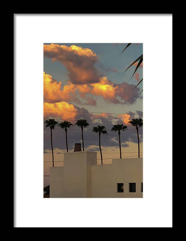 Adobe Framed Print featuring the photograph Six Palms by Grey Coopre
