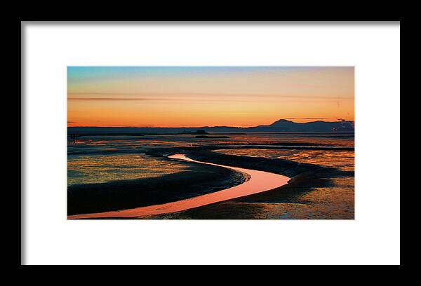  Framed Print featuring the photograph Skagit Wetlands SY by Tim Dussault