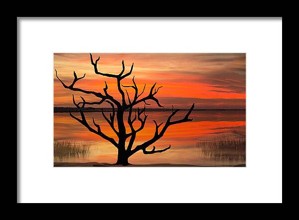 Sunset Framed Print featuring the photograph Skeleton Trees of Graveyard Beach 04 by Jim Dollar