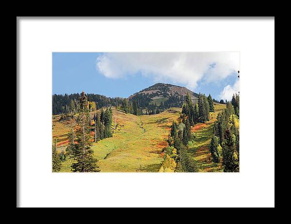 Autumn Framed Print featuring the photograph Ski Slope in Autumn by Robert Carter