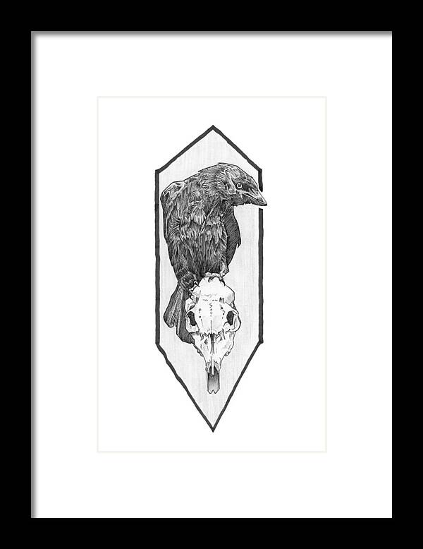 Crow Framed Print featuring the drawing Skull and Crow by Tiffany DiGiacomo