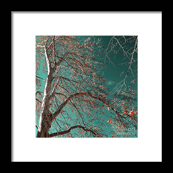 Sky Framed Print featuring the photograph Skyward by Russell Brown