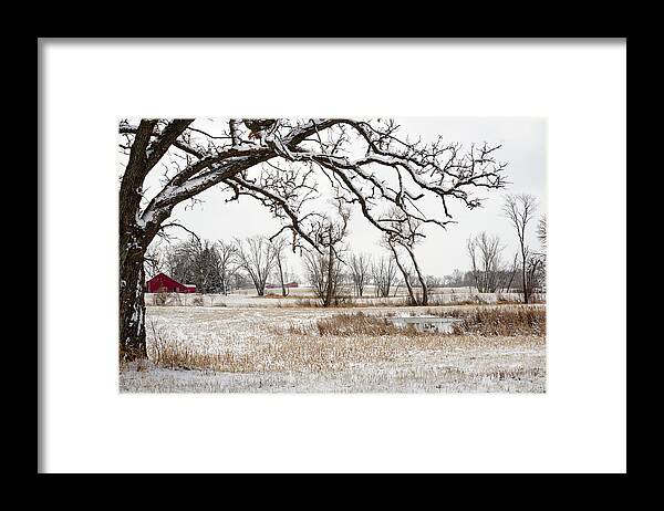 Geese Framed Print featuring the photograph Slough for Two - Wisconsin scene with geese on winter pond with barn and snow-frosted oak tree by Peter Herman