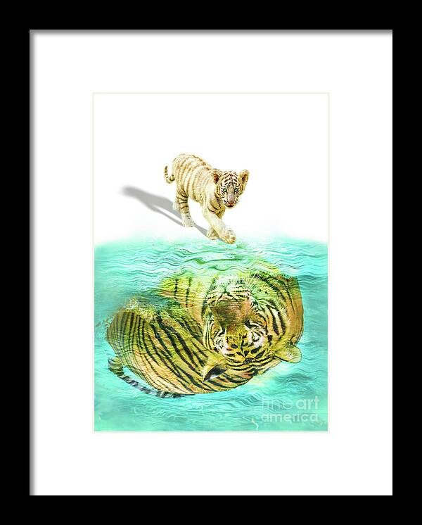Tiger Framed Print featuring the photograph Small tiger cub reflected by Benny Marty