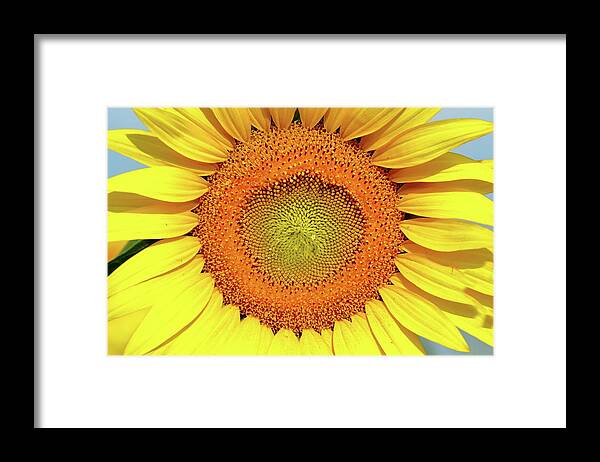Sunflower Framed Print featuring the photograph Smile by Lens Art Photography By Larry Trager