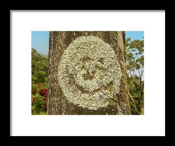 Abstract Framed Print featuring the photograph Smiley face on a tree trunk created naturally by Steven Heap