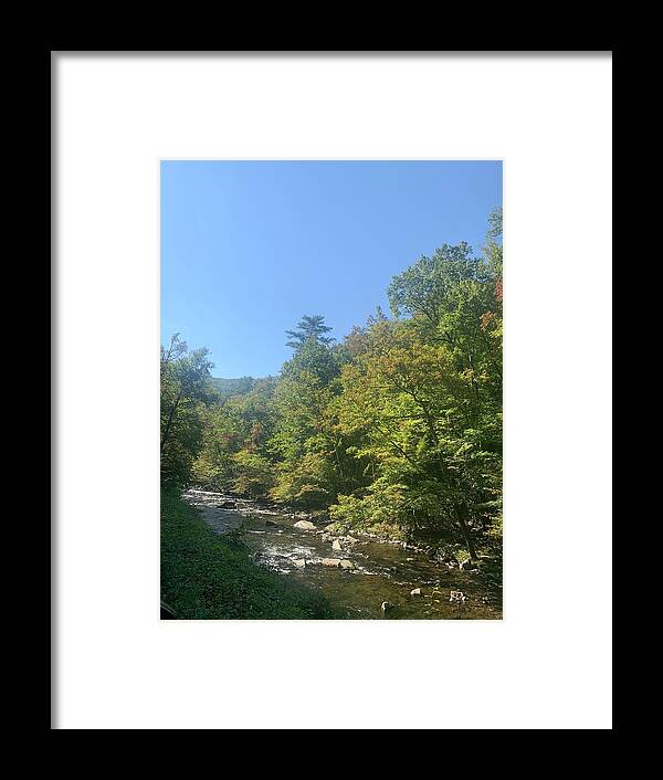 Photography Framed Print featuring the photograph Smokey Mountain Nature by Lisa White