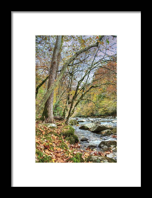 Smoky Mountains Framed Print featuring the photograph Smoky Mountain Stream by Randall Dill