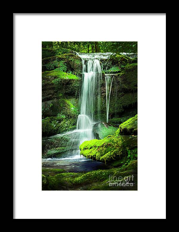 Smoky Mountains Framed Print featuring the photograph Smoky Mountains Falls in Solitude by Theresa D Williams