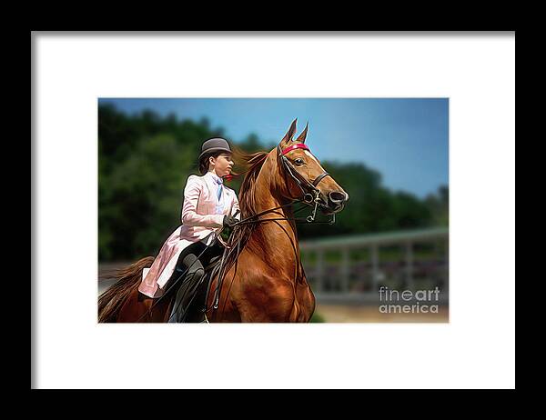 Bay Framed Print featuring the photograph Smooth Harmonious Motion by Amy Dundon