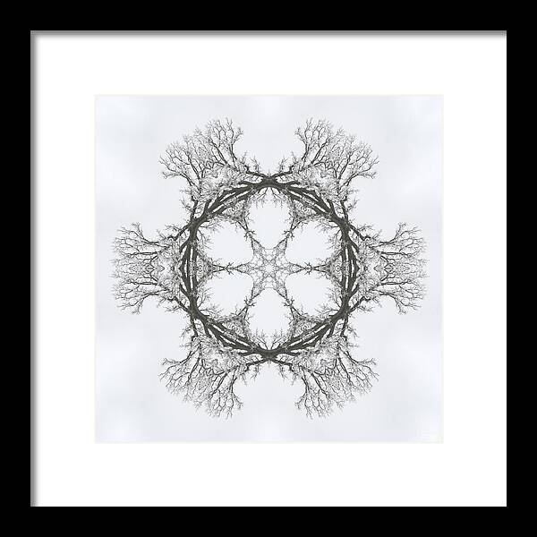 Oak Framed Print featuring the photograph SnOAKflake - Snow covered oak tree in winter as through kaleidoscope by Peter Herman