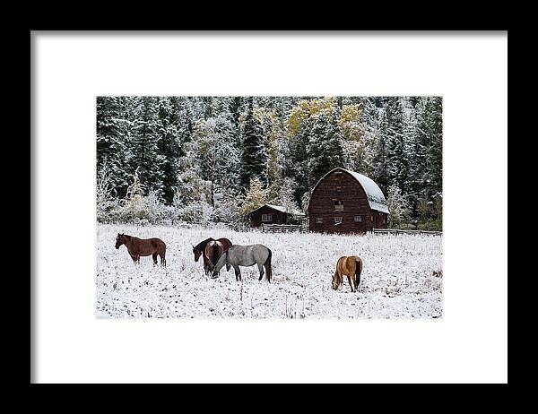 Snow Framed Print featuring the photograph Snow at the Ranch by Arthur Oleary