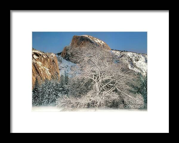 Dave Welling Framed Print featuring the photograph Snow-covered Black Oak Half Dome Yosemite National Park California by Dave Welling