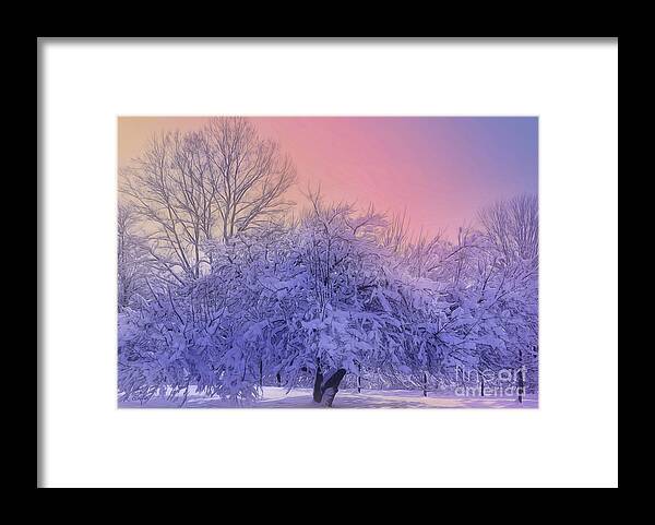 Fine Art Framed Print featuring the photograph Snow Covered Trees by Rosanna Life