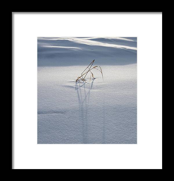 Snow Framed Print featuring the photograph Snow Drifts And Dry Grass by Phil And Karen Rispin