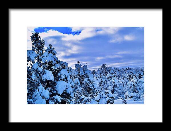 Zion Framed Print featuring the photograph Snow covered Pine Trees by Bnte Creations