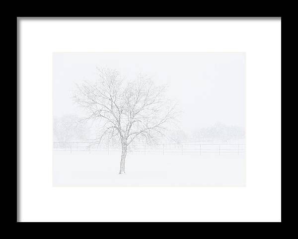 New Mexico Framed Print featuring the photograph Snowscape by Maresa Pryor-Luzier