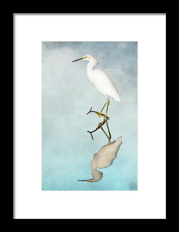 Reflection Framed Print featuring the photograph Snowy Egret Reflection by Pam Rendall
