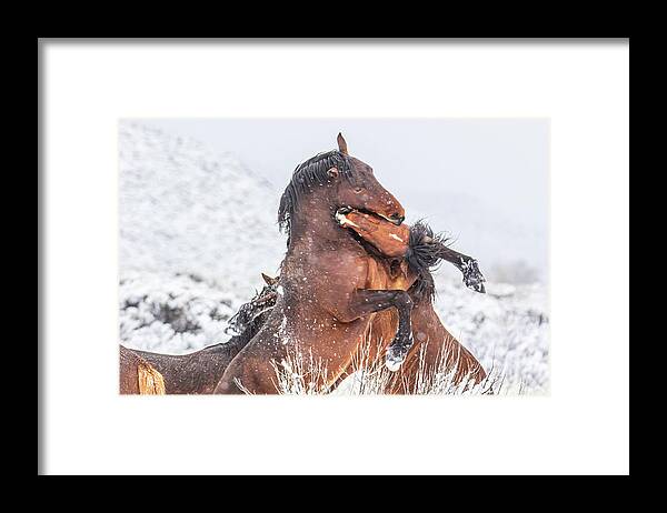 Nevada Framed Print featuring the photograph Snowy Embrace by Marc Crumpler