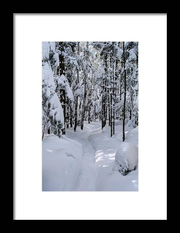 Snowy Framed Print featuring the photograph Snowy Trails Winter by White Mountain Images