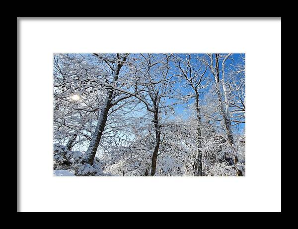 Snow Covered Framed Print featuring the photograph Snowy Trees and Blue Sky by Stacie Siemsen