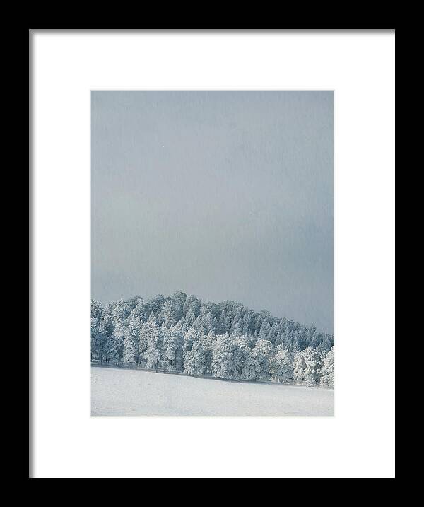 Snow Framed Print featuring the photograph Snowy Trees by Kevin Schwalbe