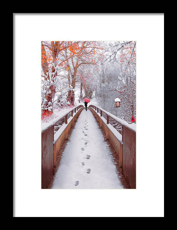 Carolina Framed Print featuring the photograph Snowy Walk Painting by Debra and Dave Vanderlaan