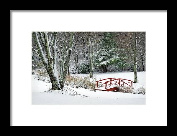 Landscapes Framed Print featuring the photograph Snowy Winter Woodland Bridge by Betty Denise