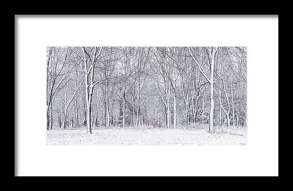 Snow Framed Print featuring the photograph Snowy Woods Pano by Jennifer White