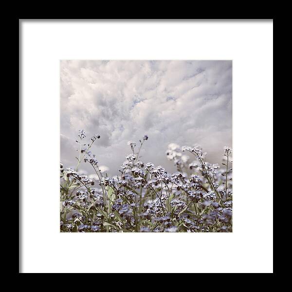 Clouds Framed Print featuring the photograph Soft Wildflowers Waving in the Breeze by Debra and Dave Vanderlaan