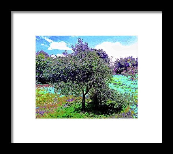 Tree Framed Print featuring the photograph Solar Spring by Andrew Lawrence