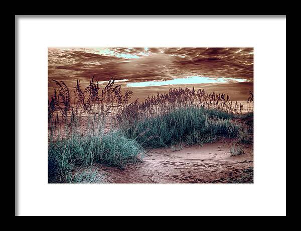 North Carolina Framed Print featuring the digital art Solid Oats on the Outer Banks fx by Dan Carmichael