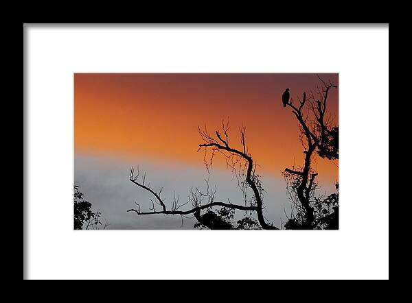 Sunset Framed Print featuring the photograph Solis Occasum by Lizette Tolentino