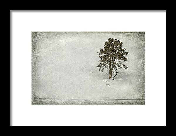 Tree Framed Print featuring the digital art Solitary Tree in Winter by Susan Hope Finley