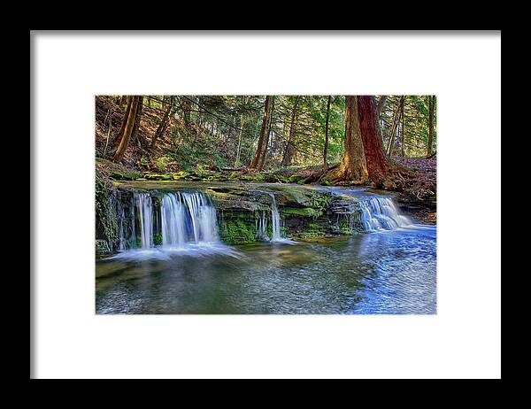 Water Framed Print featuring the photograph Solitude by Skip Tribby