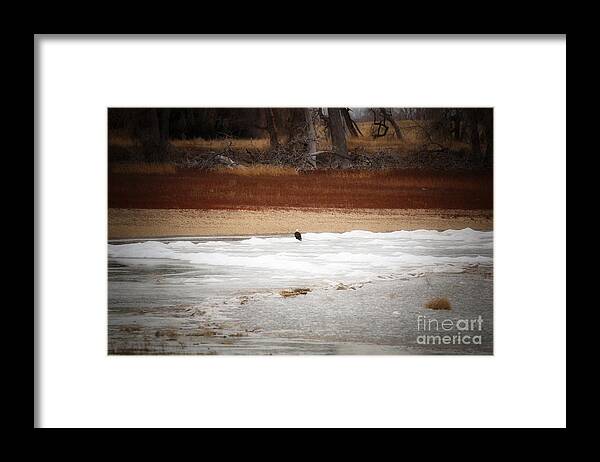 Solitude Framed Print featuring the photograph Solitude by Veronica Batterson