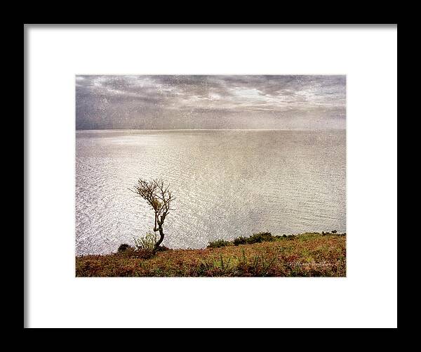 Europe Framed Print featuring the photograph Solitude by William Beuther