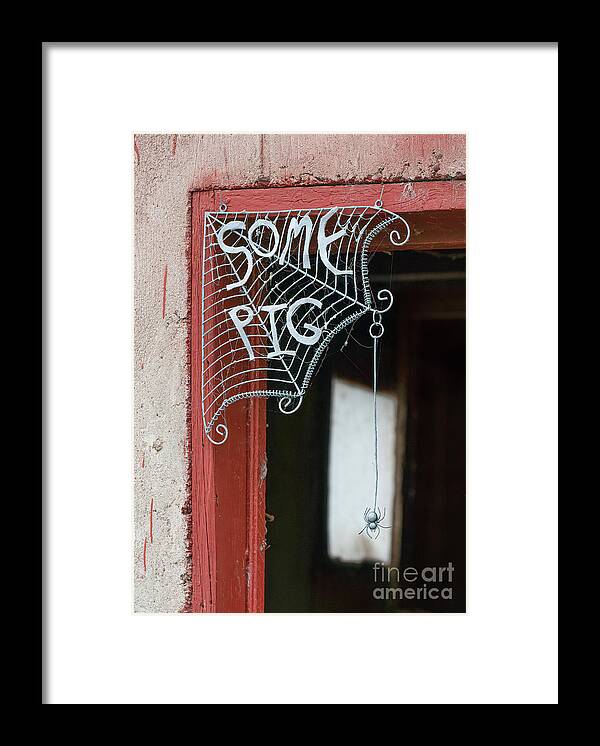 Spider Web Framed Print featuring the photograph Some Pig by Lorraine Cosgrove