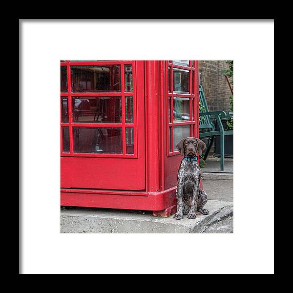 Phone Framed Print featuring the photograph Something to Talk About by Douglas Wielfaert