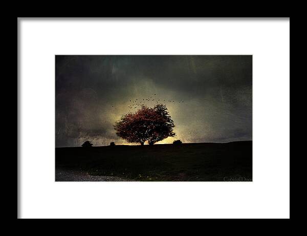 Framed Print featuring the photograph songs of Ireland by Cybele Moon