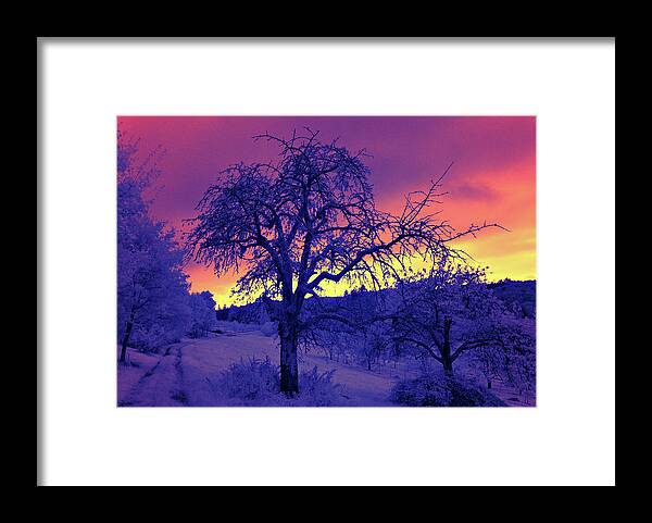 Infrared Framed Print featuring the photograph Sonnenuntergang - Infrarot by Ioannis Konstas