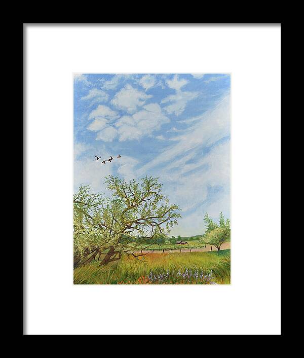 Vineyard Framed Print featuring the painting Sonoma county wine country vineyard by David Hardesty