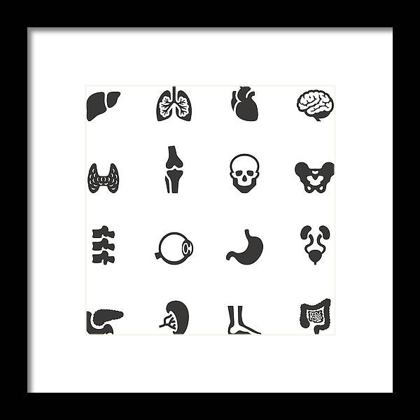Human Lung Framed Print featuring the drawing Soulico icons - Human Internal Organ by Lushik