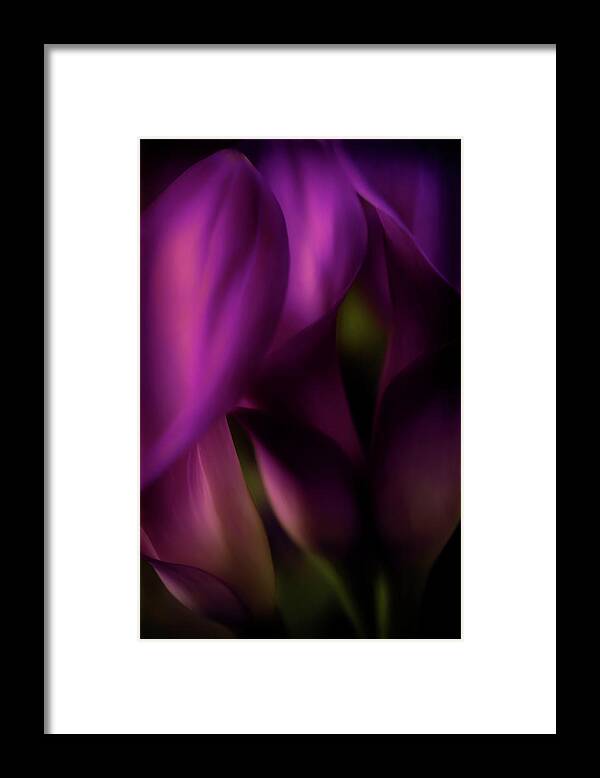 Floral Framed Print featuring the photograph Sound of Silence - Purple Tones by Darlene Kwiatkowski