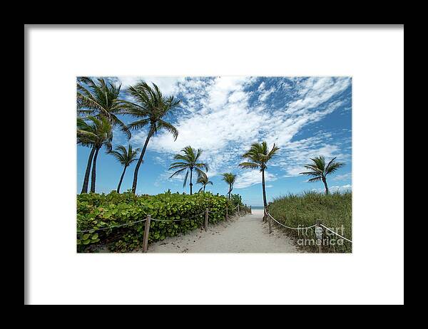 Palm Framed Print featuring the photograph South Beach Miami, Florida Beach Entrance with Palm Trees by Beachtown Views